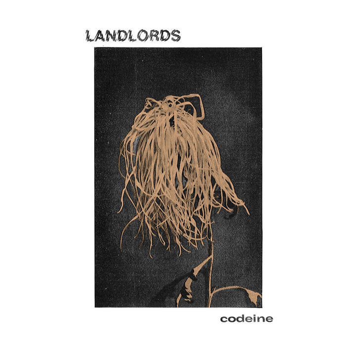 Landlords - Codeine